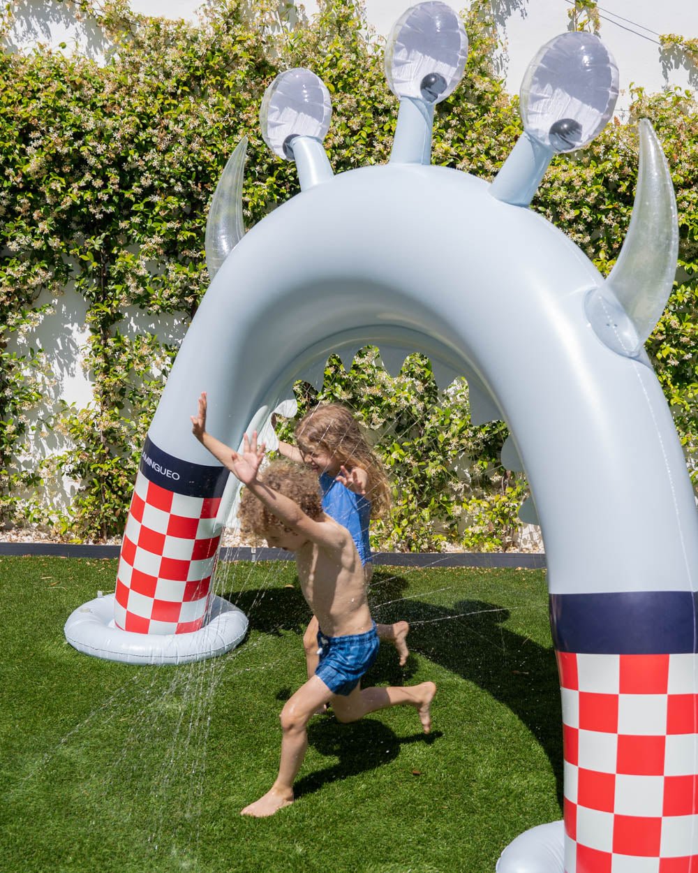 Flotador aspersor - HECTOR - Flamingueo