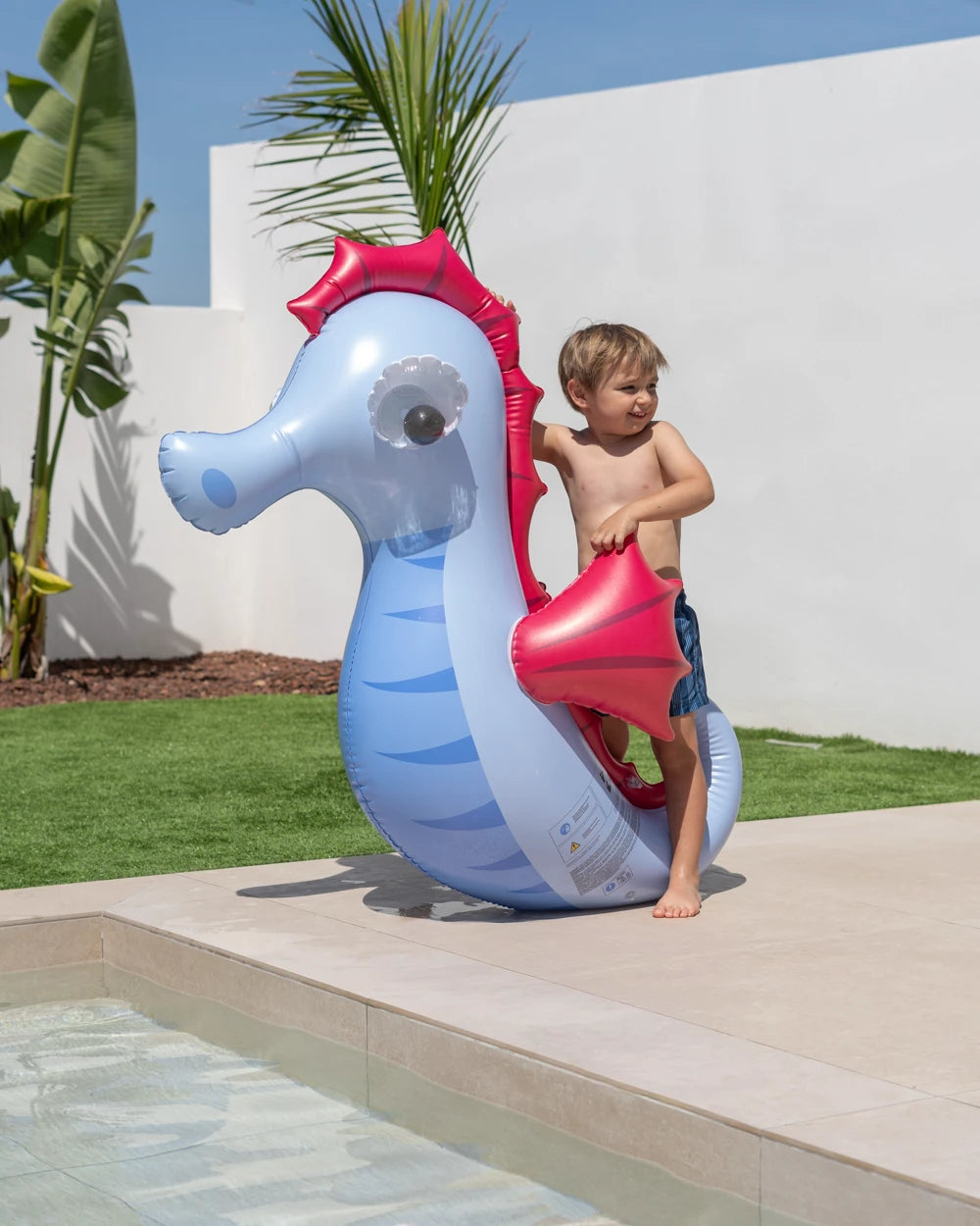 Flotador infantil caballito de mar – NEMI