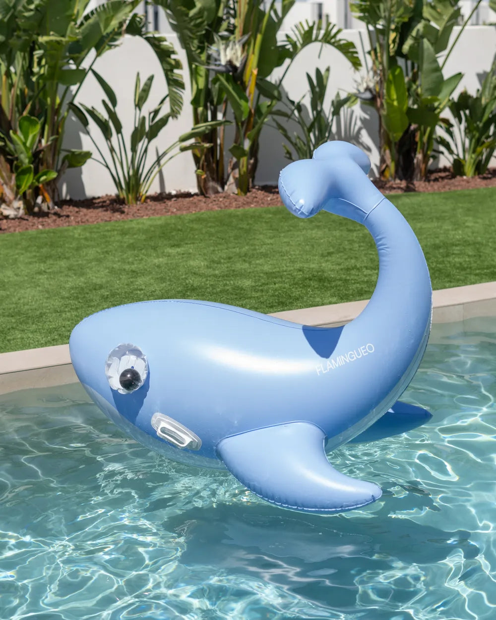 Flotador infantil figura ballena gigante – BLUF