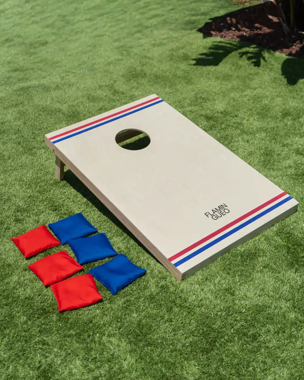 Juego de puntería con saquitos - SNITCH